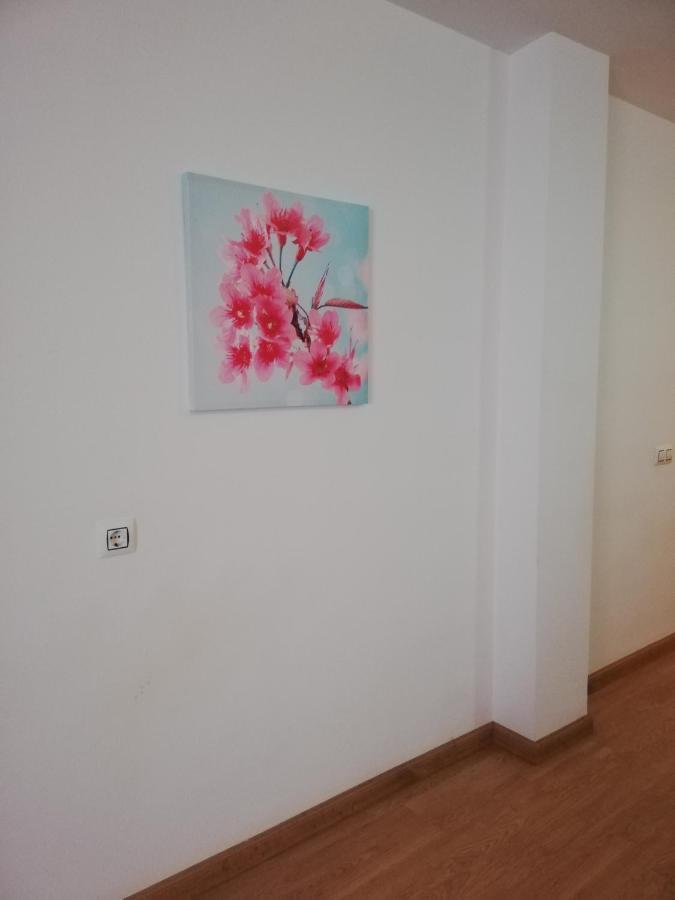 Apartamento En Primera Linea De Vera Playa Naturista! 외부 사진
