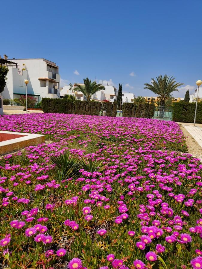 Apartamento En Primera Linea De Vera Playa Naturista! 외부 사진