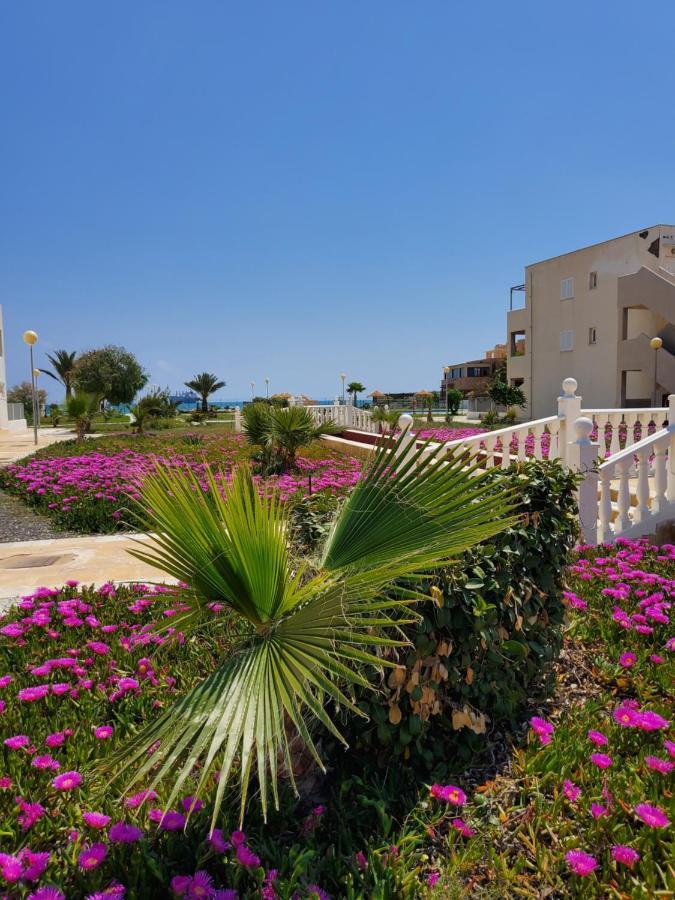 Apartamento En Primera Linea De Vera Playa Naturista! 외부 사진